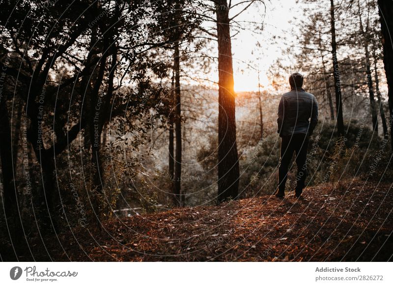 Mann, der eine Landschaft bewundert. Tourist Wald Rucksack Herbst Jugendliche ländlich Natur Erholung stumm stehen Ferien & Urlaub & Reisen Mensch Freiheit
