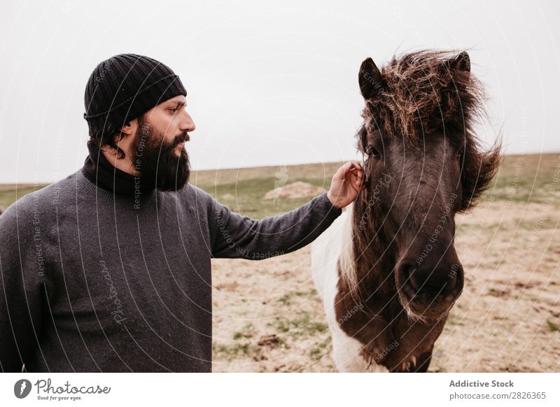 Mann streichelt isländisches Wildpferd Kraulen Pferd Island Streicheln fürsorglich Zucht Großgrundbesitz Landwirtschaft Landschaft Gefühle Zuneigung berühren