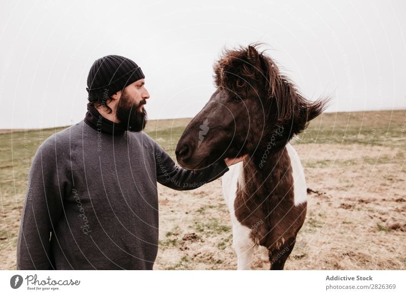Mann streichelt isländisches Wildpferd Kraulen Pferd Island Streicheln fürsorglich Zucht Großgrundbesitz Landwirtschaft Landschaft Gefühle Zuneigung berühren