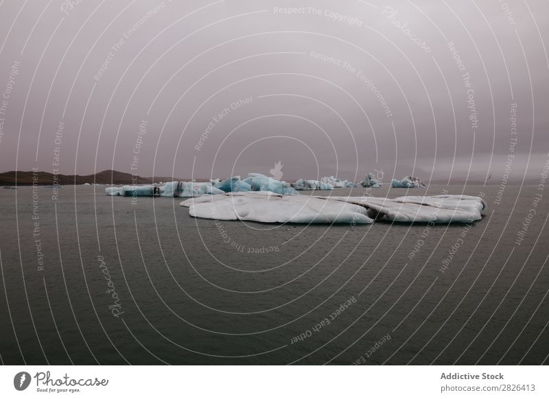 Jökulsárlón Gletscher, Island Mann Meer Hand Eis ausgestreckt Landschaft Eisberg Aussicht Küste trist extrem Seeküste Abenteuer Natur Wolkendecke Freiheit