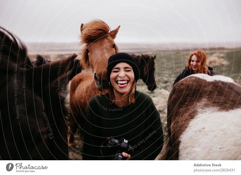 Lachende Frauen mit Pferden Tourismus Fotograf Island Natur Fröhlichkeit Landschaft rustikal Bauernhof grün Freizeit & Hobby ländlich pferdeähnlich berühren