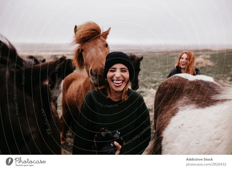 Lachende Frauen mit Pferden Tourismus Fotograf Island Natur Fröhlichkeit Landschaft rustikal Bauernhof grün Freizeit & Hobby ländlich pferdeähnlich berühren