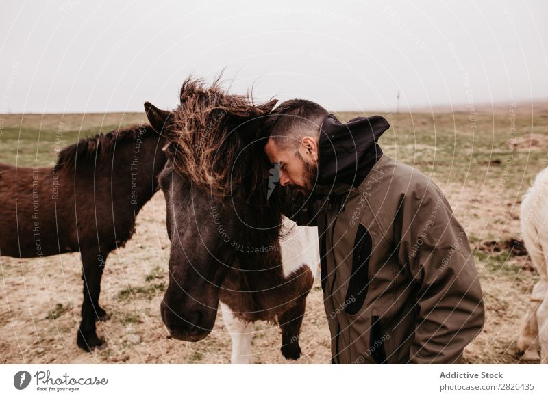 Ein Mann, der sich auf ein Pferd stützt. Kraulen Island Zärtlichkeit fürsorglich Zucht Landschaft Landwirtschaft Streicheln Gefühle Zuneigung berühren Liebe