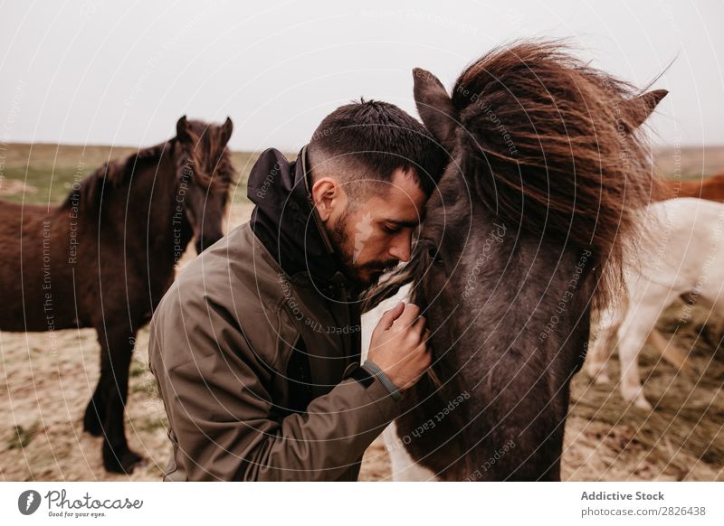 Ein Mann, der sich auf ein Pferd stützt. Kraulen Island Zärtlichkeit fürsorglich Zucht Landschaft Landwirtschaft Streicheln Gefühle Zuneigung berühren Liebe