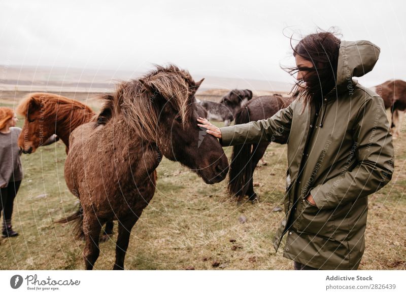 Frau streichelt Pferd auf der Weide Kraulen Island Zucht Großgrundbesitz Tier Landwirtschaft Streicheln Landschaft Gefühle Zuneigung berühren Liebe Natur