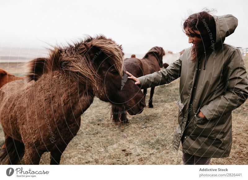 Frau streichelt Pferd auf der Weide Kraulen Island Zucht Großgrundbesitz Tier Landwirtschaft Streicheln Landschaft Gefühle Zuneigung berühren Liebe Natur