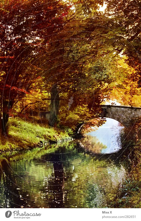 Herbst Natur Landschaft Baum Sträucher Park Bach Brücke mehrfarbig Herbstlaub herbstlich Herbstfärbung Herbstbeginn Herbstwald Herbstlandschaft Laubwald Blatt