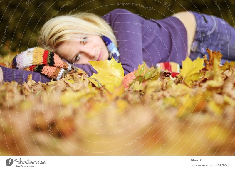 Laub Mensch feminin Junge Frau Jugendliche Erwachsene 1 Herbst Blatt Wald Lächeln liegen schön mehrfarbig Herbstlaub herbstlich blond Schal Farbfoto