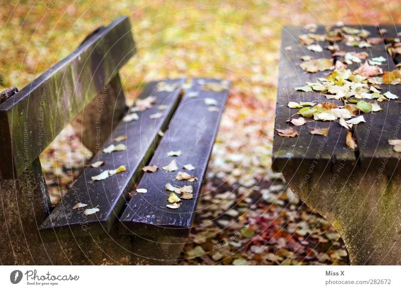 Herbstbank Blatt Garten Park mehrfarbig Parkbank Bank Tisch herbstlich Herbstlaub Holz Holztisch Holzbank Farbfoto Außenaufnahme Menschenleer