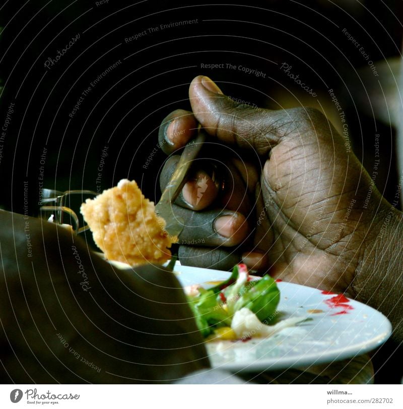 Hand mit Gabel beim Essen, dunkelhäutig Gemüse Blumenkohl Salatbeilage Ernährung Mittagessen Vegetarische Ernährung Teller Gesunde Ernährung lecker Afrikaner