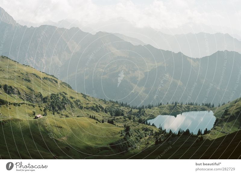 alpenidyll° Umwelt Natur Landschaft Wasser Sommer Berge u. Gebirge See Zufriedenheit Farbfoto Außenaufnahme Menschenleer Tag Panorama (Aussicht)