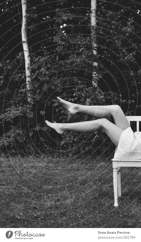 2B. feminin Frau Erwachsene Beine Fuß 1 Mensch Natur Baum Birke Park Wiese Rock Kleid Stuhl liegen sitzen einzigartig Schwarzweißfoto Außenaufnahme Low Key