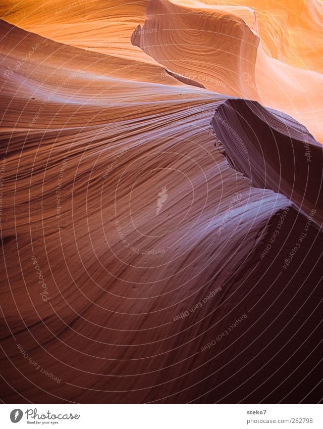 Sand + Zeit Felsen Schlucht rund gelb gold orange Antelope Canyon Sandstein geschliffen Strukturen & Formen Wellenform Farbfoto Außenaufnahme Nahaufnahme
