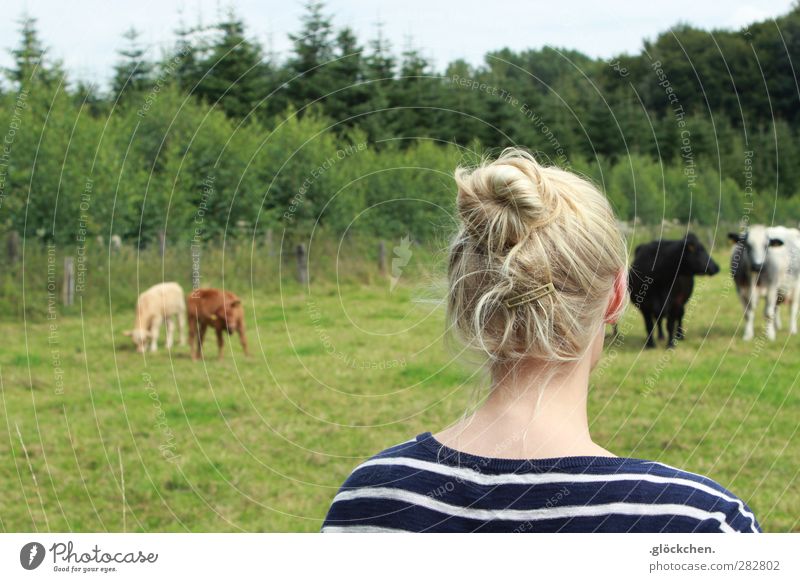 Ferien Mensch feminin Junge Frau Jugendliche Kopf Haare & Frisuren Rücken 1 Landschaft Sommer Schönes Wetter Wiese Wald T-Shirt Stoff Haarspange blond Dutt Kuh