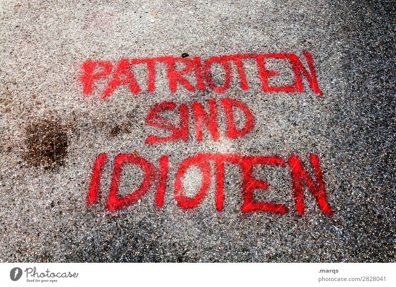 Patrioten sind Idioten Farbstoff Stein Schriftzeichen Graffiti trashig Politik & Staat Patriotismus Dummkopf Farbfoto Außenaufnahme Menschenleer Tag
