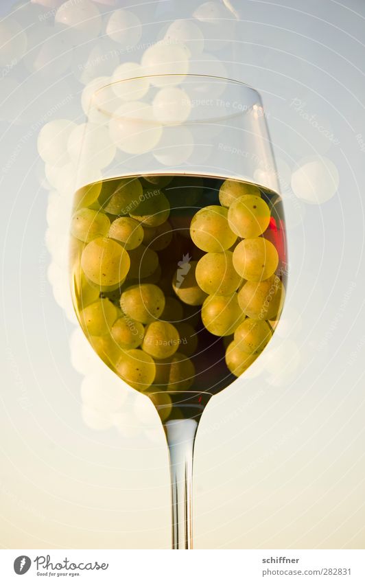 Beerenauslese Lebensmittel Frucht Ernährung Getränk Alkohol Wein Flüssigkeit Weinglas Glas Rotweinglas Weintrauben Traubensaft Weißwein Doppelbelichtung