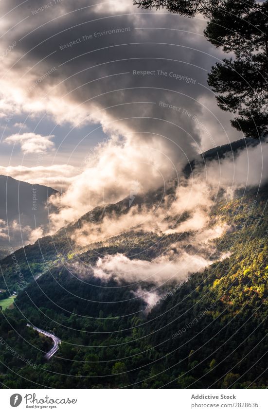 Malerischer Blick auf wolkige Hügel Aussicht Wolken malerisch Landschaft Ausflugsziel Natur schön natürlich Wahrzeichen Wald Berge u. Gebirge grün