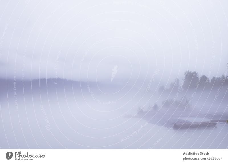 Silhouette des Ufers bei Nebel Baum See Natur Morgen ruhig Jahreszeiten Aussicht Landschaft Umwelt Idylle Gelassenheit friedlich natürlich Stille Schwüle