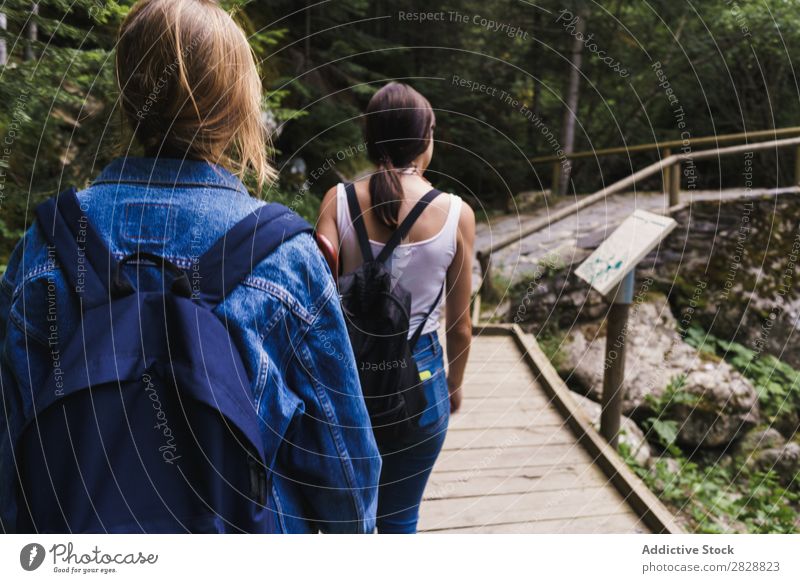 Hübsche Frauen, die auf der Brücke stehen. Holz Natur Mensch Sommer Wasser schön Beautyfotografie Ferien & Urlaub & Reisen Fröhlichkeit Jugendliche Mädchen