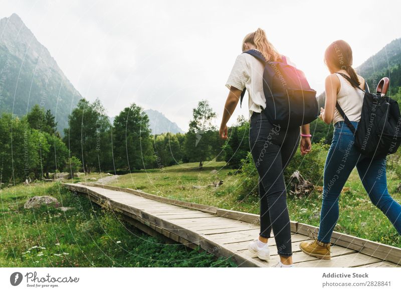 Frauen, die auf einem Holzweg in den Bergen spazieren gehen. laufen Straße ländlich Freundschaft Rucksack Natur Mädchen Jugendliche schön