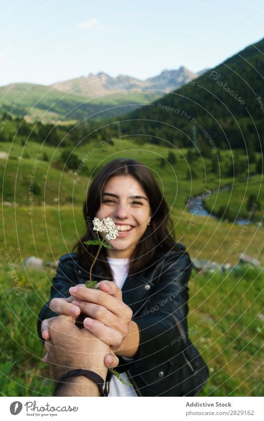 Person, die der Frau eine Blume schenkt Wiese Feld Hand Fotograf Sommer Natur Mädchen Jugendliche schön Glück Beautyfotografie grün Freude Frühling Fröhlichkeit