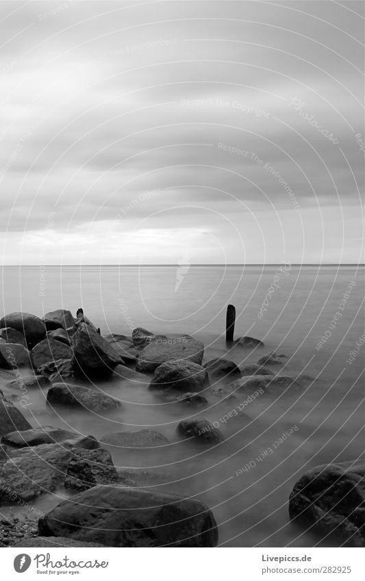 da Pfal Umwelt Natur Landschaft Wasser Himmel Wolken Wetter schlechtes Wetter Küste Strand Ostsee Meer Stein Holz grau schwarz weiß Schwarzweißfoto