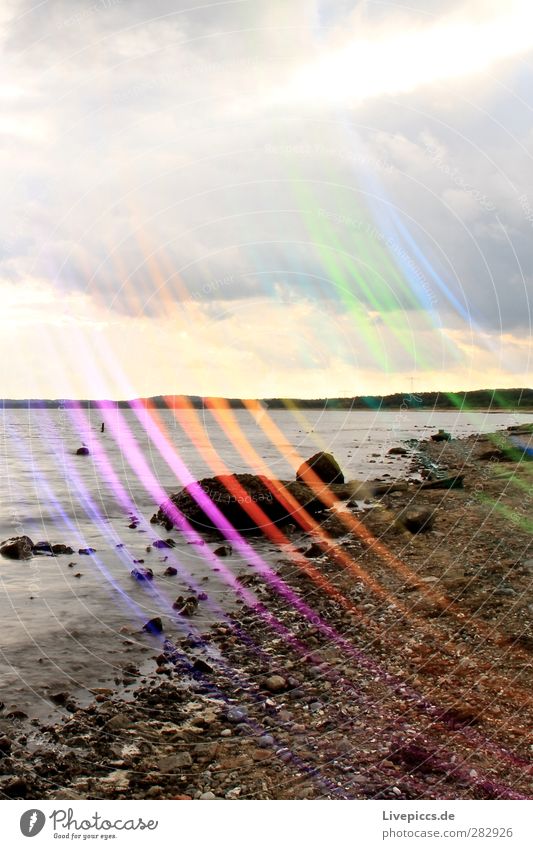 bunte Küste Maler Umwelt Natur Landschaft Wasser Wolken Sonnenlicht Pflanze Baum Strand Ostsee Meer Stein leuchten mehrfarbig Lichtmalerei Farbfoto