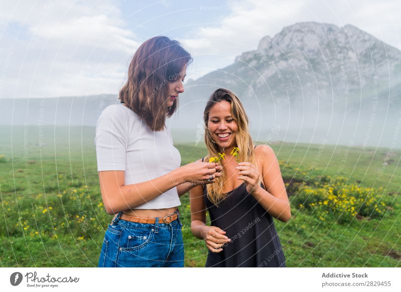 Lächelnde Mädchen mit Feldblumen Frau Wiese Blume Kommissionierung Glück lachen Zusammensein Freundschaft Erholung Berge u. Gebirge Natur Gras schön Jugendliche