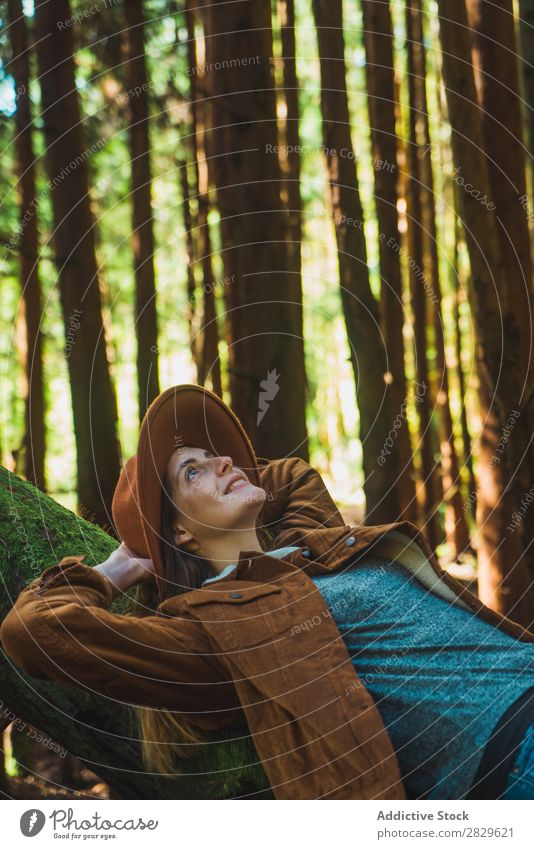 Frau entspannt sich auf dem Baumstamm Tourist Wald grün Natur lügen Erholung Rüssel Umwelt hübsch natürlich Jahreszeiten Pflanze Blatt Licht frisch hell Tag