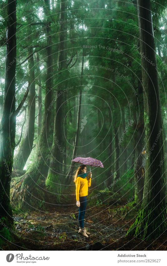Frau mit Regenschirm im windigen Wald grün Wind laufen hübsch Ferien & Urlaub & Reisen Tourismus Einsamkeit Natur Landschaft Baum Rüssel Pflanze Park