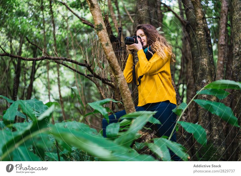 Frau macht Schüsse im Wald grün Fotograf Fotokamera hübsch Ferien & Urlaub & Reisen Tourismus Einsamkeit Natur Landschaft Baum Rüssel Pflanze Park Jahreszeiten