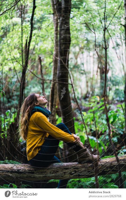Frau auf Stamm im Wald sitzend träumen Fürsorge Rüssel aufschauend grün hübsch Ferien & Urlaub & Reisen Tourismus Einsamkeit Natur Landschaft Baum Pflanze Park