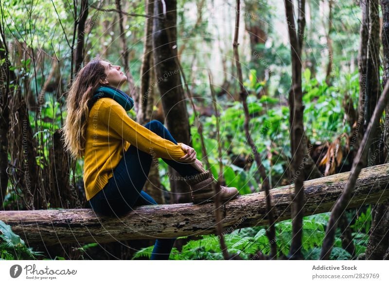 Frau auf Stamm im Wald sitzend träumen Fürsorge Rüssel aufschauend grün hübsch Ferien & Urlaub & Reisen Tourismus Einsamkeit Natur Landschaft Baum Pflanze Park
