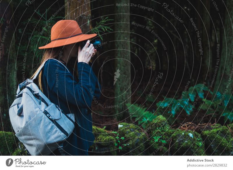 Frau macht Schüsse im Wald Tourist grün Natur Fotograf Fotokamera Rucksack zielen nehmen Fokussierung Umwelt natürlich Jahreszeiten Pflanze Blatt Licht frisch