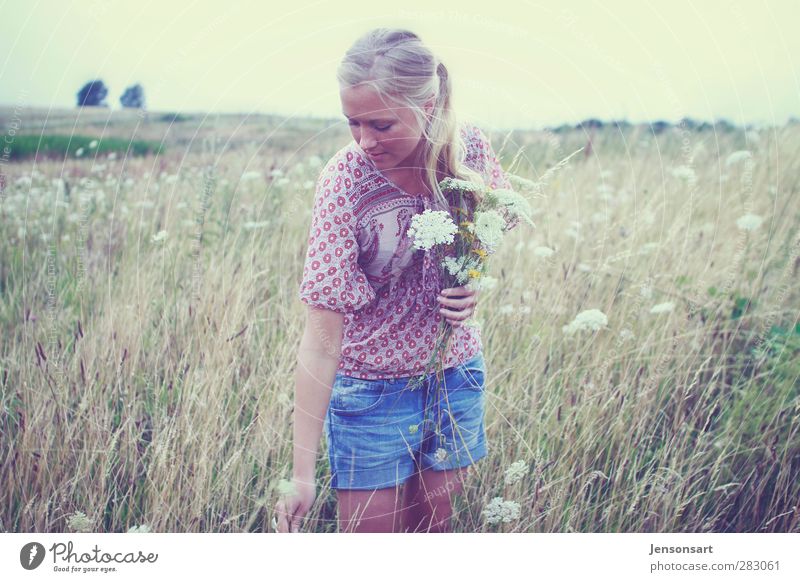 Blondes Mädchen auf Blumenwiese Mensch feminin Junge Frau Jugendliche 1 18-30 Jahre Erwachsene Landschaft Sommer blond Zopf schön natürlich Lebensfreude