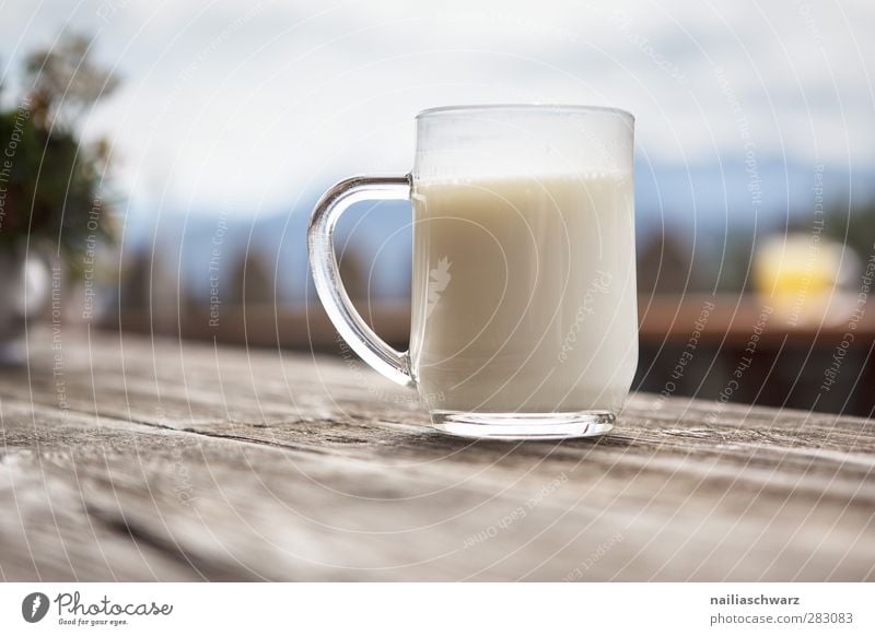 Lecker! Lebensmittel Milcherzeugnisse Bioprodukte Getränk Erfrischungsgetränk buttermilch Tasse Becher Glas Landwirtschaft Forstwirtschaft Feierabend Holz