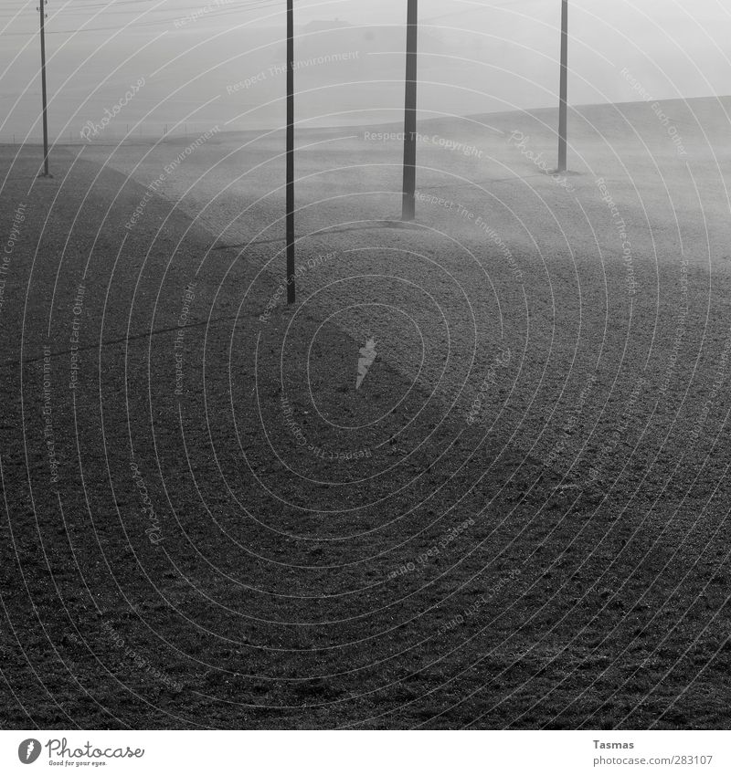 Fifty Shades of Grey Landschaft Nebel Feld ästhetisch ruhig Telefonmast Strommast Schwarzweißfoto Außenaufnahme abstrakt Strukturen & Formen Menschenleer
