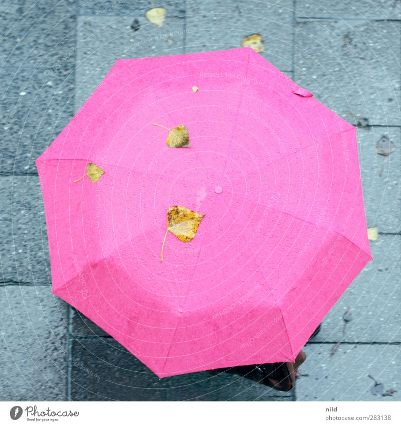 Sauwetter Mensch 1 Herbst Wetter schlechtes Wetter Regen Stadt Bürgersteig Tasche Regenschirm gehen kalt Gesundheit Erkältung herbstlich Blatt Farbfoto