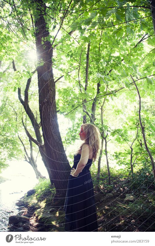Fee feminin Junge Frau Jugendliche 1 Mensch 18-30 Jahre Erwachsene Kleid schön einzigartig Wald Farbfoto Außenaufnahme Tag Licht Schatten Gegenlicht Weitwinkel