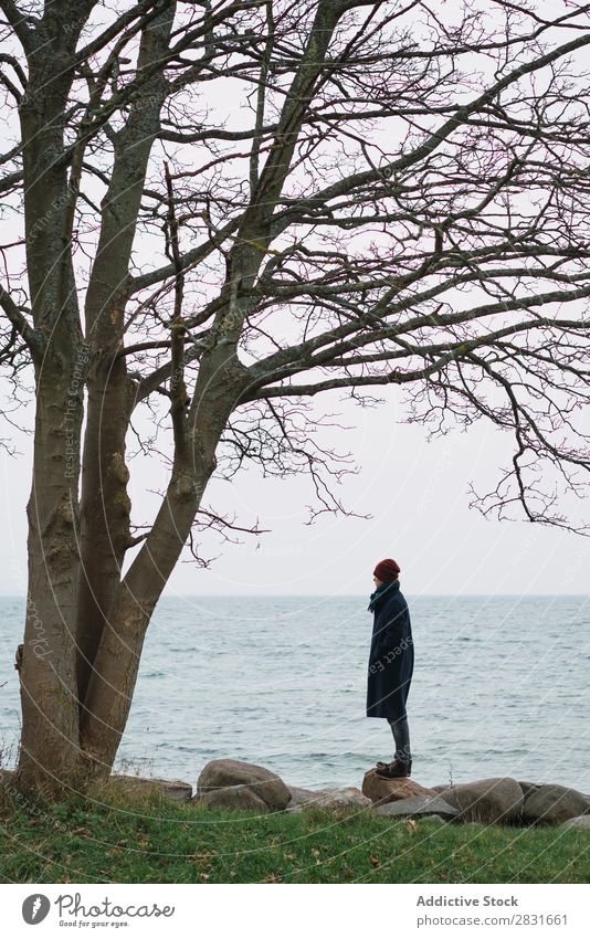 Stilvoller Mann auf Stein stehend Seeküste kalt Mantel warme Kleidung Baum Meer Natur Jugendliche Erwachsene blau Ferien & Urlaub & Reisen Wasser Typ modern