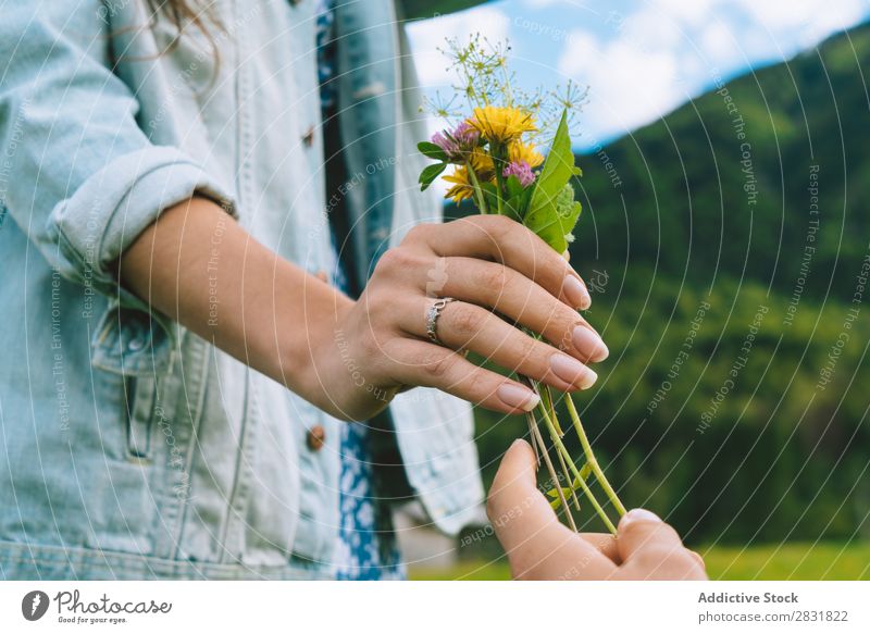 Frau, die einen kleinen Haufen nimmt. Paar Wiese Blume Geschenk sammelnd Geben Natur Sommer Mensch Mann Liebe Gras schön Zusammensein Landschaft