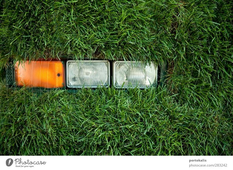 Grüner Bus Umwelt Natur Gras Energie Idee Klima Farbfoto Nahaufnahme Detailaufnahme Menschenleer Hintergrund neutral Morgen