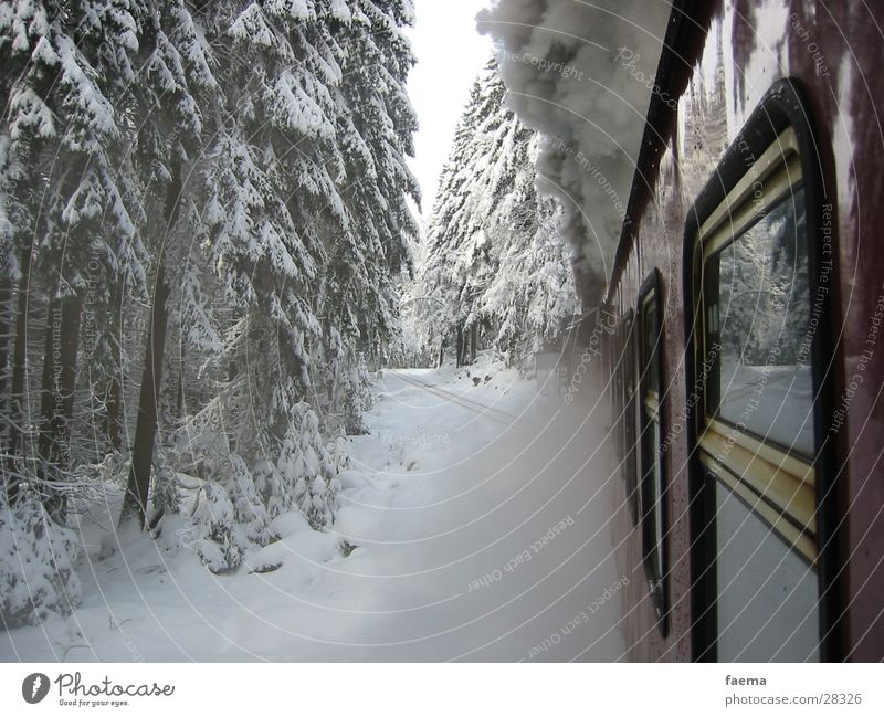 Orient Express Tanne Staub Fenster Winter Verkehr Bruchstück Eisenbahn Brockenbahn Wasserdampf Dampflock Schnee Glas