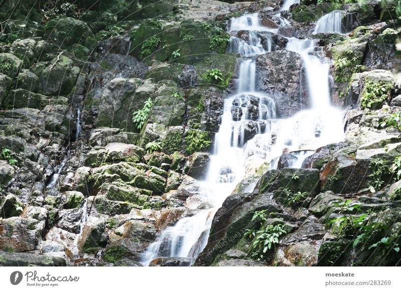 Tioman Wasserfall exotisch Leben harmonisch Wohlgefühl Zufriedenheit Erholung ruhig Kur Tourismus Ausflug Abenteuer Ferne Expedition Natur Pflanze Sommer Urwald