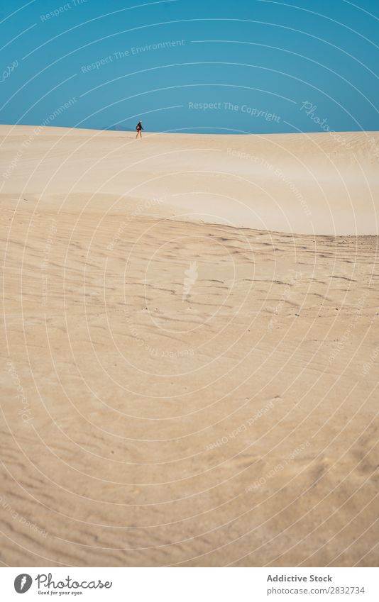 Anonymer Reisender in sandigen Dünen Sand Erkundung Wildnis Wüste Ferien & Urlaub & Reisen abgelegen Freiheit Himmel Landschaft Horizont Beautyfotografie