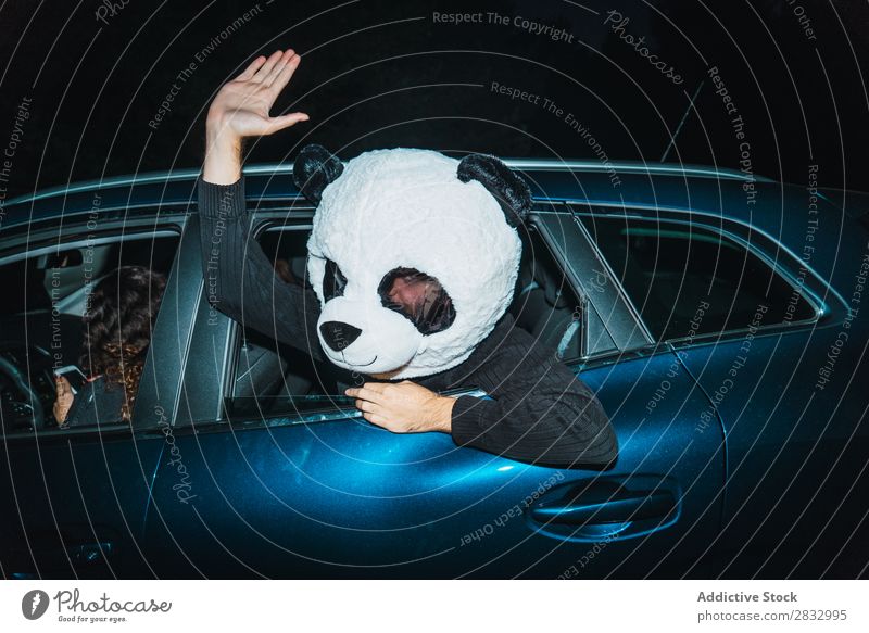 Mann mit Pandamaske lehnte sich aus dem Autofenster. Maske Frieden gestikulieren Mensch zeigen Rücken Sitz Passagier Fach PKW Fahrzeug Verkehr Hand