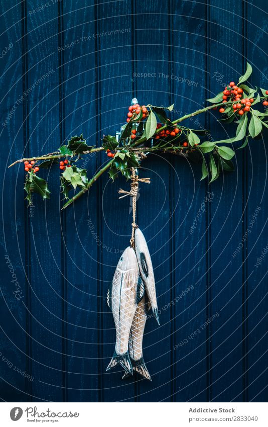 Äste und Fische an der Tür Dekoration & Verzierung Ast erhängen Baum grün rot Jahreszeiten Tradition Symbole & Metaphern Haus rustikal Farbe heimwärts Natur