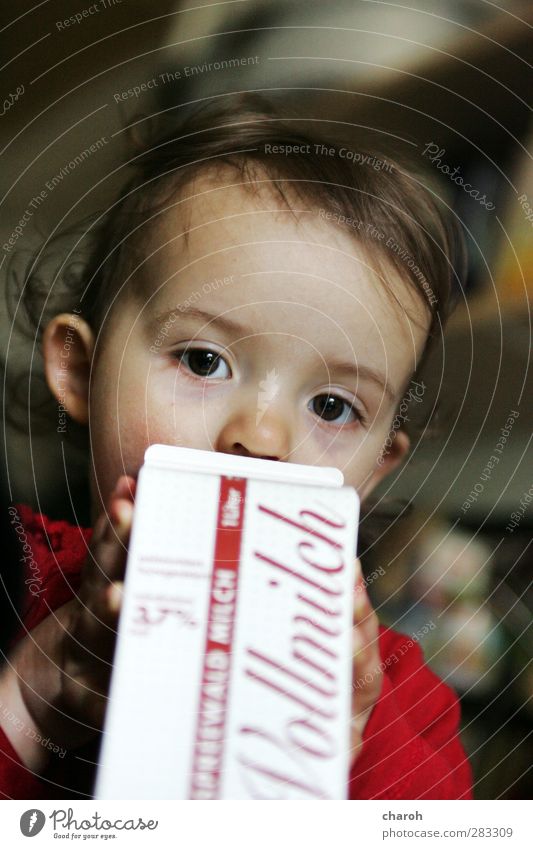Milchmädchen Lebensmittel Milcherzeugnisse Getränk trinken Mensch feminin Kleinkind Mädchen Kindheit Gesicht 1 1-3 Jahre braun mehrfarbig gelb grün rot weiß