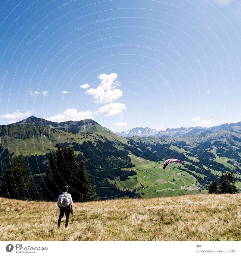 in den Alpen Erholung ruhig Tourismus Ausflug Freiheit Sommer Berge u. Gebirge wandern Gleitschirmfliegen maskulin 1 Mensch Natur Landschaft Herbst Wiese Wald