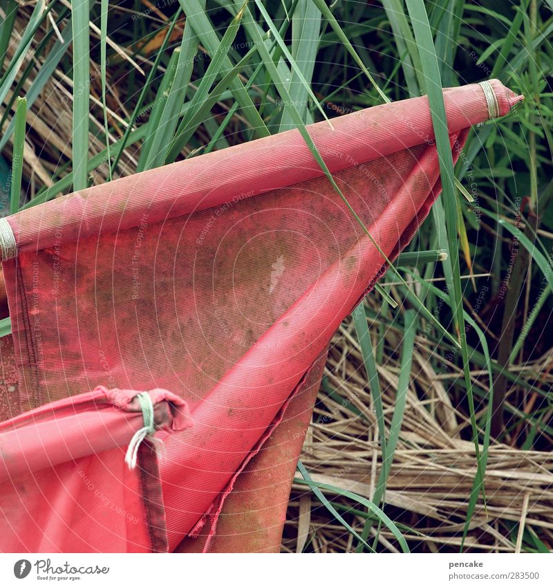 gefangen in plastik | tatort Natur Pflanze Gras Küste Fjord Schifffahrt Fischerboot Verpackung Interesse Kunststoff Plastikkiste rot verwittert Algen Tatort